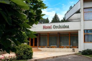 Hotel Orchidea - 8