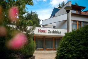 Hotel Orchidea - 9